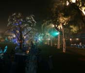 wedding planner in delhi ncr